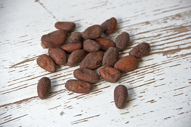 propiedades y composición cacao