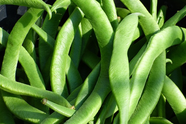 verduras hechas con aceite de argán