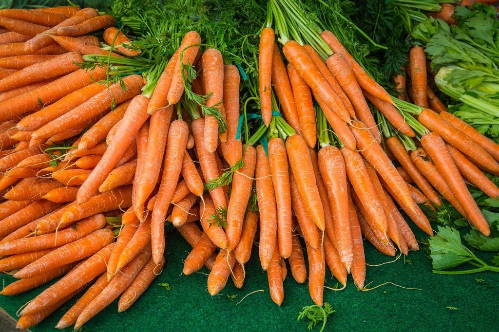 Aceite esencial de zanahoria