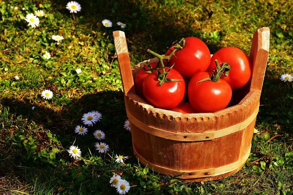 Contenido en vitaminas y minerales del tomate