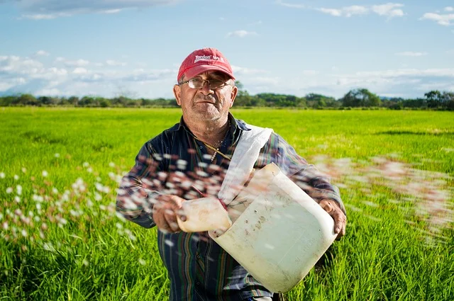 Vitaminas, minerales y nutrientes del arroz y fibra, proteinas