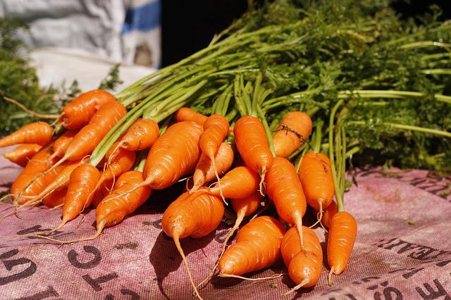 carotenoides la vitamina mas destacable en la zanahoria