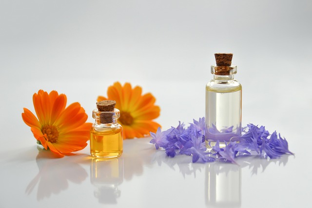aceite de té de labrador y sinergia con otros aceites esenciales