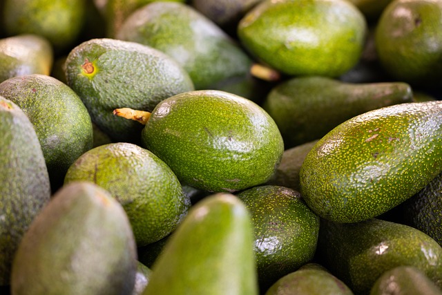tipos de aguacate