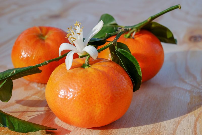 nutrientes vitaminas y minerales tiene la mandarina