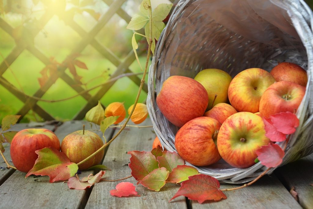 Qué vitaminas y minerales tiene la manzana