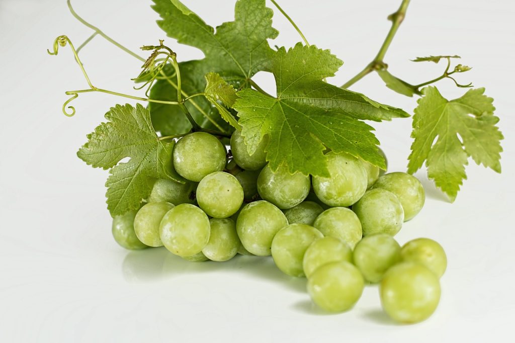 Qué vitaminas y minerales tienen las uvas