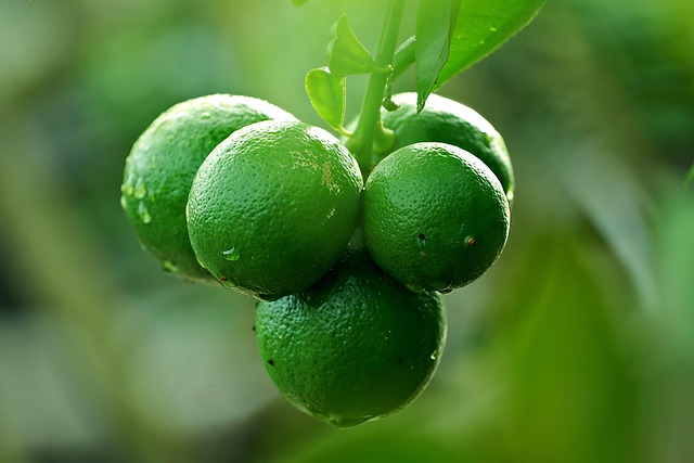 naranja verde o naranja madura