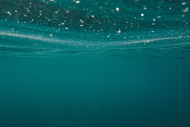 espirulina muy rica en proteínas
