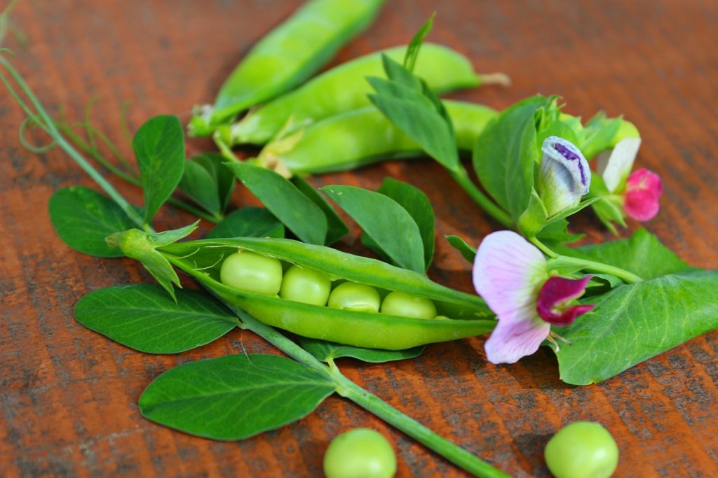 Qué vitaminas y minerales tiene el guisante