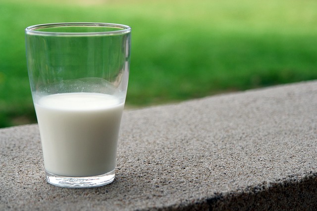osteoporosis y leche