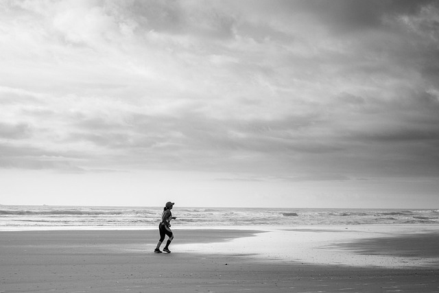 nuez de macadamia para el sistema circulatorio