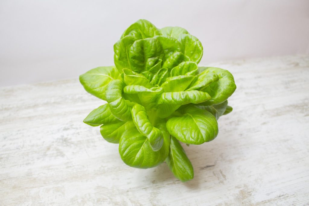 Qué vitaminas y minerales tiene la lechuga