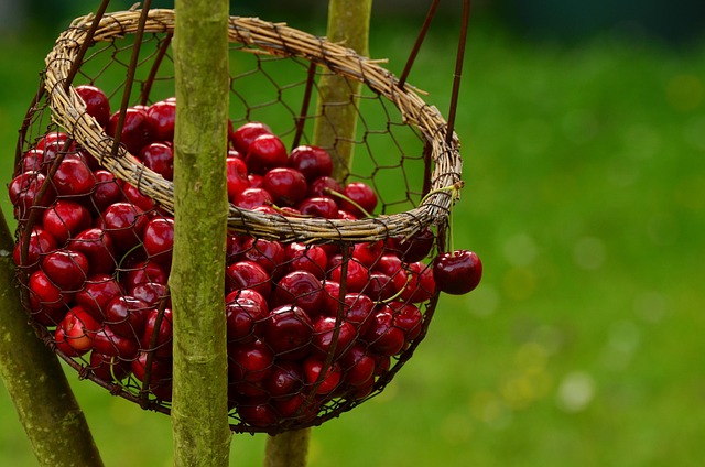 cerezas adecuadas para niños, embarazadas, deportistas