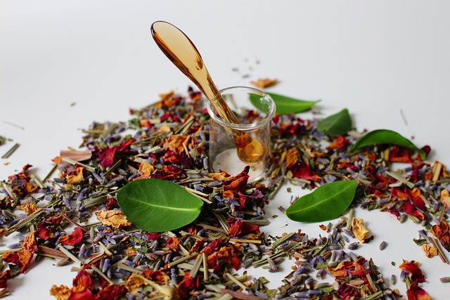 aceites vegetales en cosmética natural, casera y convencial