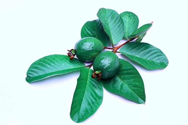 cómo consumir guayaba 