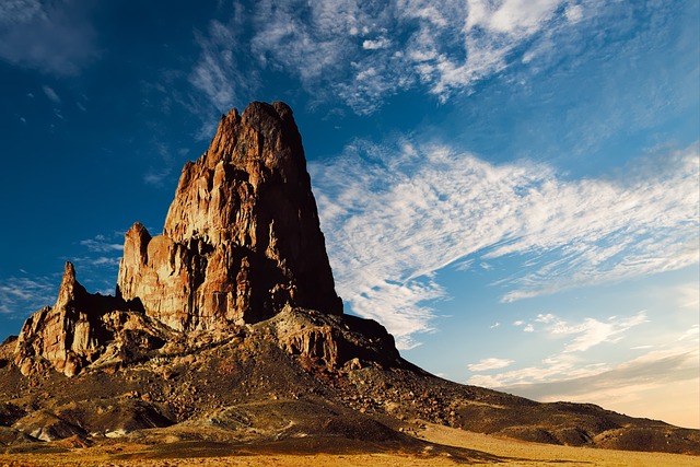 propiedades tradicionales de la escabiosa