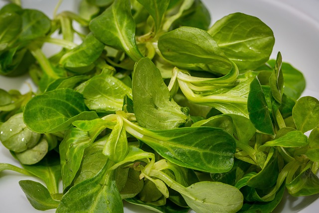 propiedades antioxidantes y relajantes de los canonigos