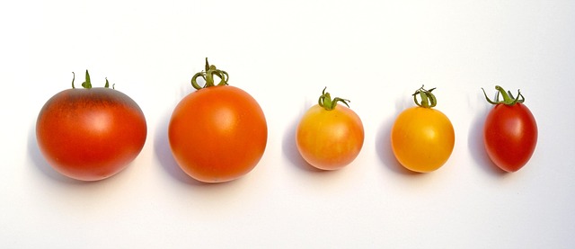 los beneficios para la salud del tomate