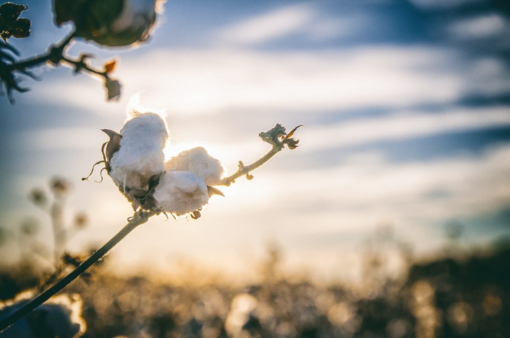 Beneficios cosméticos del ácido hialurónico en la piel