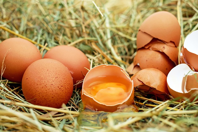 los huevos aumentan el colesterol