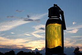 Beneficios cosméticos del aceite de argán para la piel.