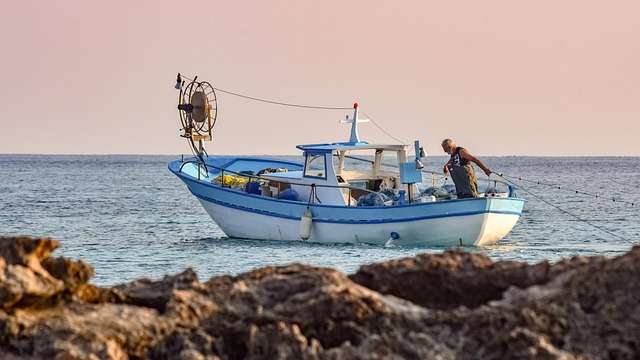 el pescado tiene proteías de calidad