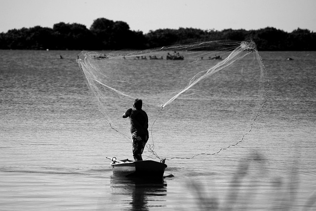 qué tipo de proteínas tiene el pescado