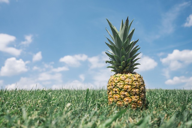 bromelina antitusígeno