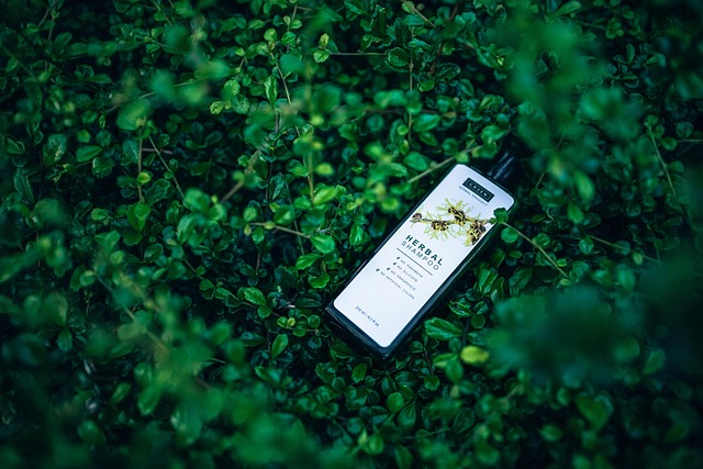 champú sólido y champú líquido