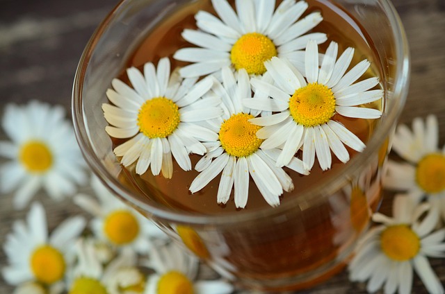 infusión de manzanilla adecuada para aliviar la tos