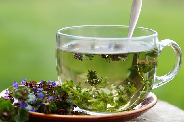 valeriana planta medicinal tradicional