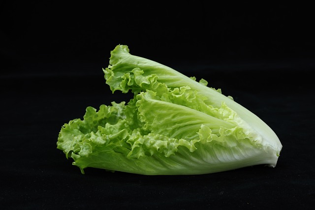 El consumo de lechuga mejora la expulsión de líquidos