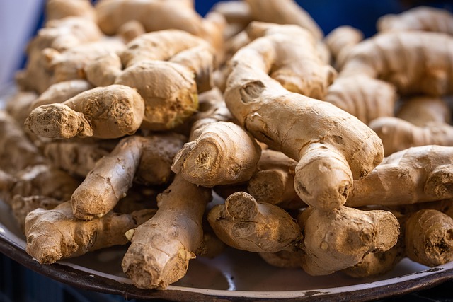 ginger o jengibre como medicinal tradicional