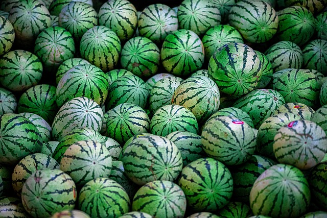 valor nutricional de la sandia, antioxidantes y contenido en agua