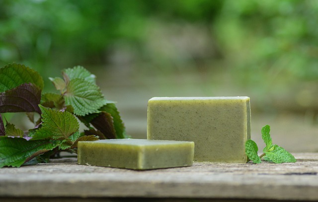 usos cosméticos de la manteca de aguacate