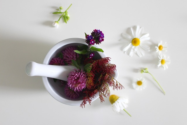 con qué ingredientes mezcla bien el colagéno en cosmética natural