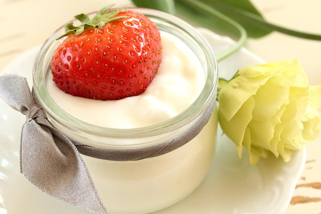 diferencia entre probiotico y prebiotico