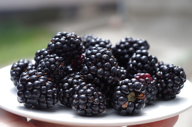 para que sirven las moras