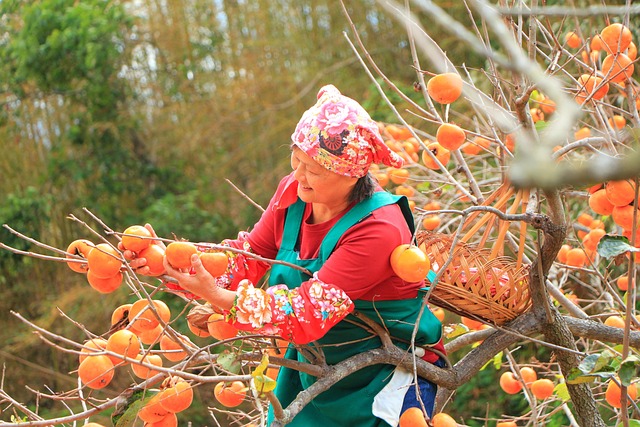 por qué es importante la fibra de la fruta