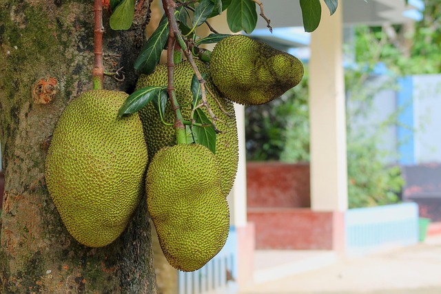 propiedades y beneficios de las frutas tropicales