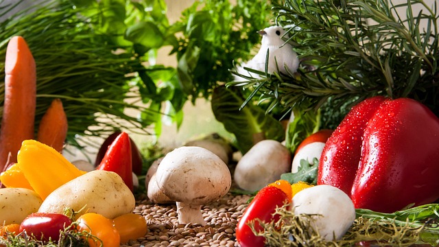 proteínas de origen vegetal y animal