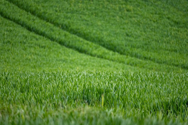 proteínas y grasa