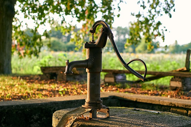 Count the water contained in food. o agua en alimentos